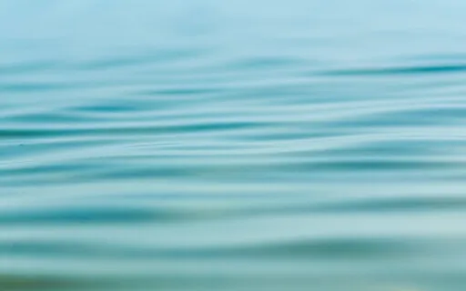 The Harmonious Throat Chakra