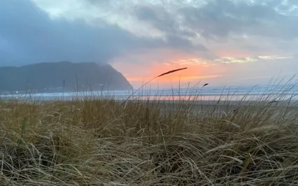 The Healing Cello: Beyond The Air We Breathe