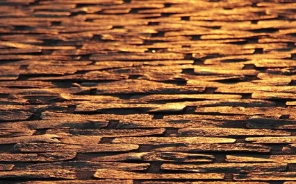 The Healing Elixir Sleep Spell