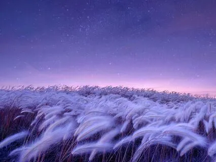 The Healing Frequency 2 Hz Binaural Delta