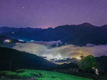 The Healing Garden: A Sleep Story And Guided Meditation