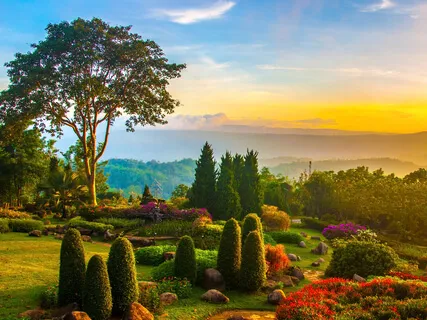 The Healing Garden Practice