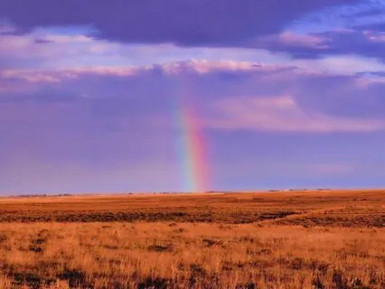 The Healing Is Inside Your Heart (Song)