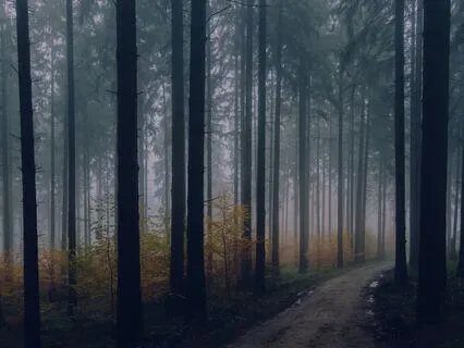 The Healing Mist: Sleepy Journey For Relief & Relaxation