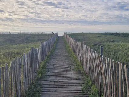 The Healing Path: Trusting Your True Self