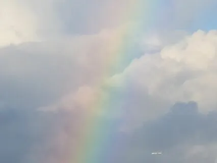 The Healing Power Of Acceptance