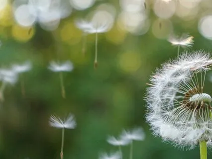 The Healing Power Of Kindness