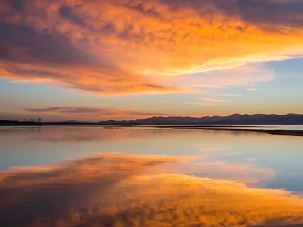 The Healing Power Of Love