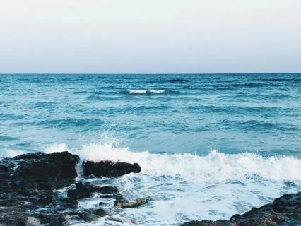 The Healing Power Of Nature