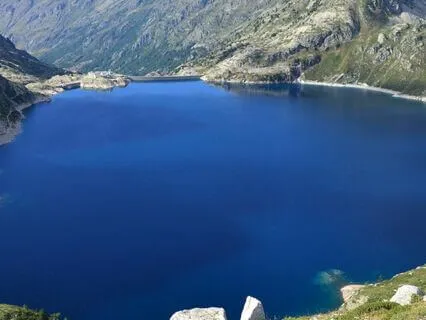 The Healing Power Of Positivity