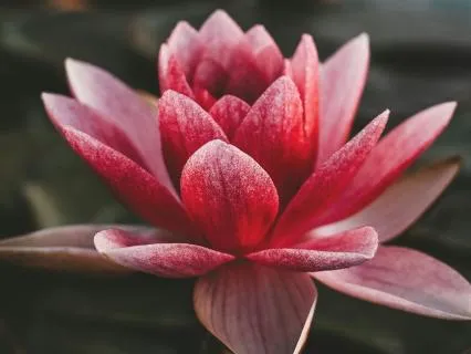 The Healing Season - Ways To Feel Blessed In Tricky Times