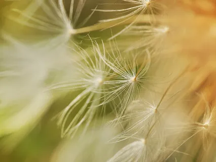 The Healing Series | Coming Home To Yourself