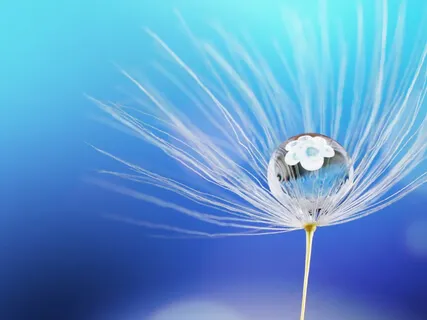 The Healing Series | Transform