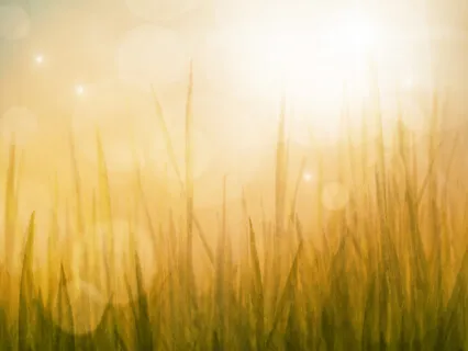 The Healing Series | Turning Things Around