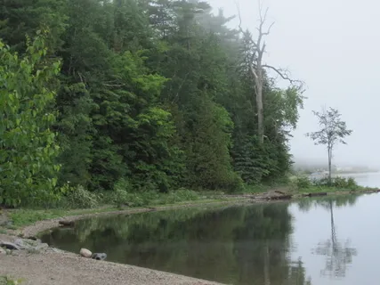 The Healing Space Of The Drum