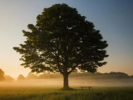 Body And Mind Healing Meditation