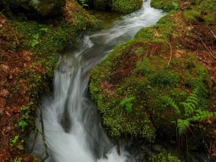 The Healing Waters: Find Peace In Nature