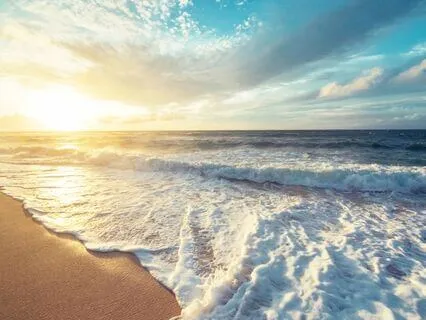 The Healing Wisdom Of The Ocean: A Moment Of Gratitude