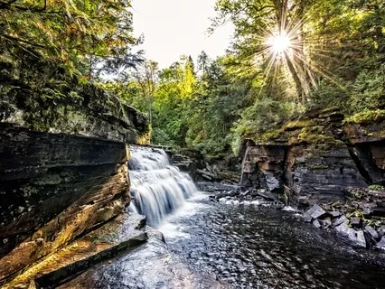 The Healthy Body Meditation