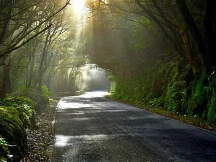 The Heart-Brain Coherence: 0.1Hz (Epsilon Waves Harmony)