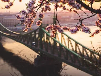 The Heart Bridge - Unification