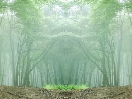 The Heart Chakra Pillar