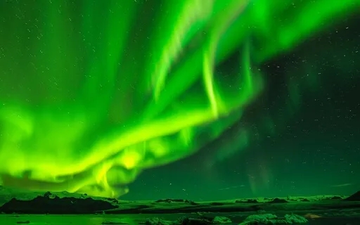 The Heart Chakra Tenderness 