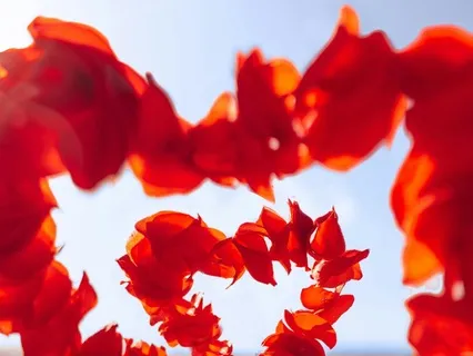 The Heart Portal: Let Your Heart Guide You Home