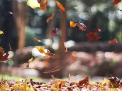 The Heart Space, A Practice To Balance All Doshas