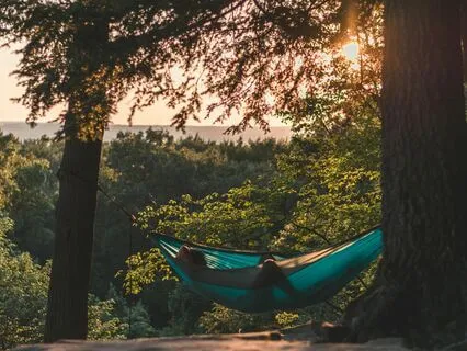 The Heartbeat Of Mother Earth