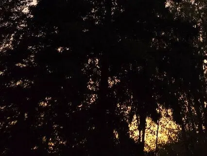 The Heartbeat Of The Universe