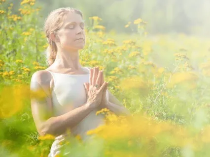The Heart's Guidance Meditation