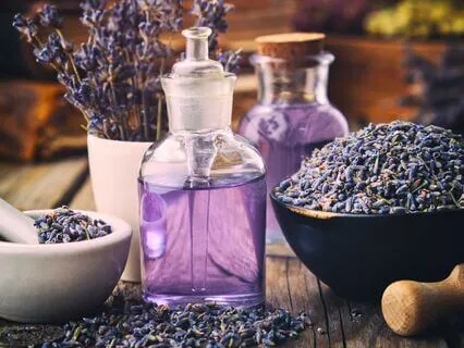 The Herb Weaver: An Enchanted Caravan Sleep Story