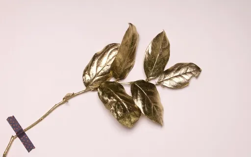 The Hero's Journey - Find Your Holy Grail