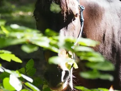 The Hidden Strength Within: Taoist Reflection For Self-Worth