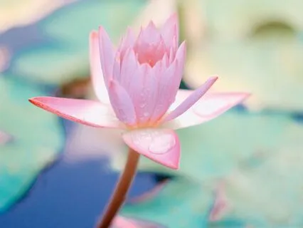 The Hidden Truth About The Law Of Attraction