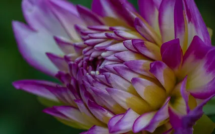 The High Priestess Meditation