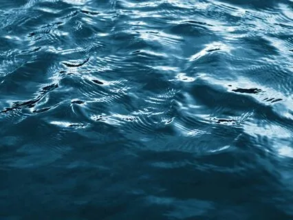 The High Priestess Tarot Card