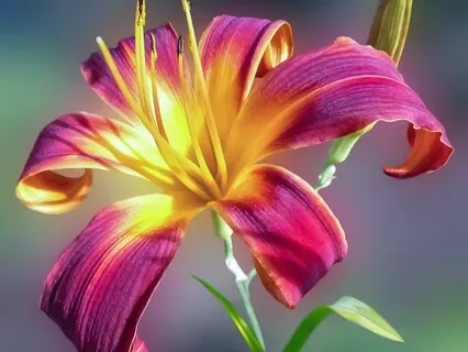 The Highest Dispassion Leads To Awakening-2