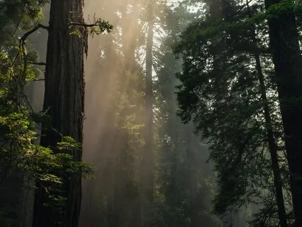 The Highest State Is The Most Natural State