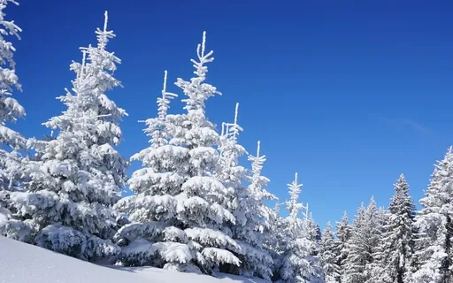 The Holding Of Opposites, Of Everything