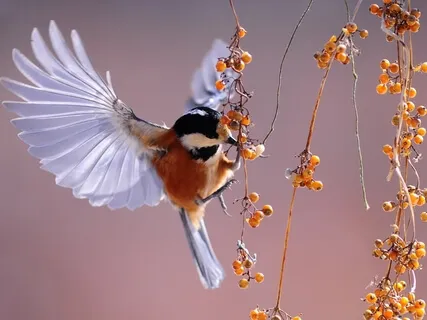 The Holy Instant - Course In Miracles