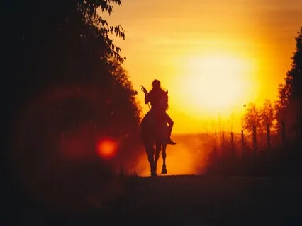 The Horses In Autumn: A Sleep Story And Guided Meditation