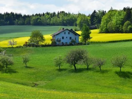 The House In The Wood