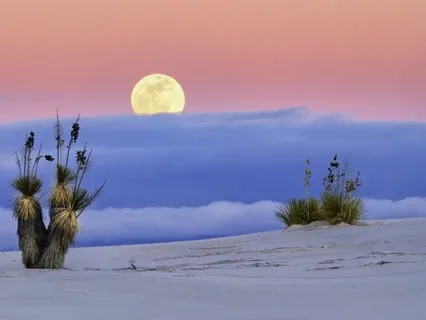 The House Of Now - Breath Of Isness