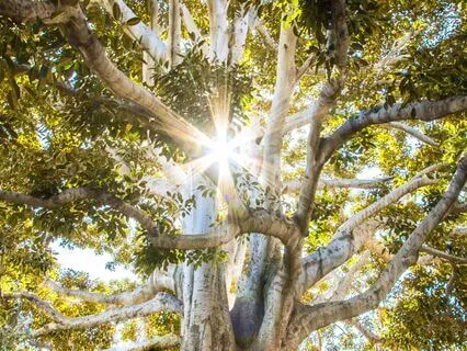 The Huge Cost of Being 95% Stuck In Our Heads