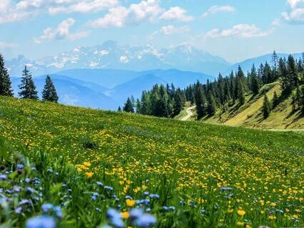 The Hurt Break: Emotional Healing And Peace