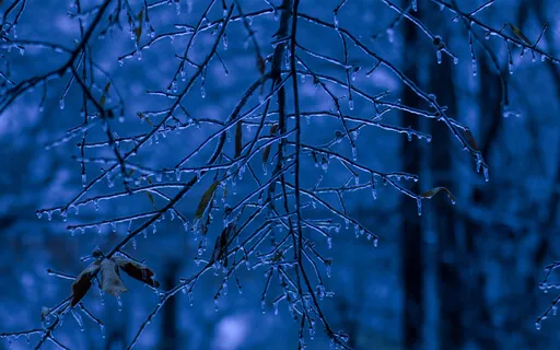 The Ice Storm | Bedtime Story And Sleep Meditation
