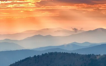 The Idea Of Love Is Exploited By The Commercialism