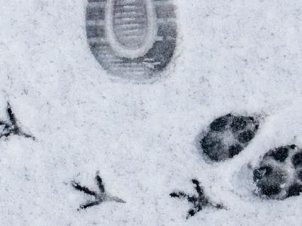 The Identities I’m Retiring